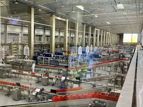 南京老字號護航2025世界田聯(lián)室內錦標賽 數智化實力鑄就舌尖上的 中國品質